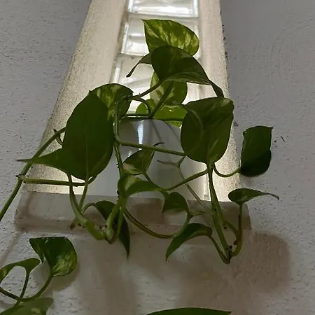 Le Ginestre * Cantalupo in Sabina