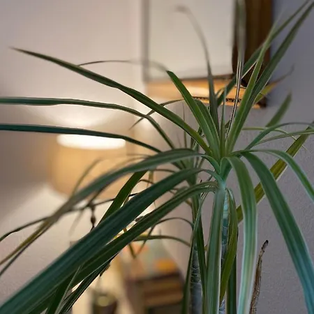 Le Ginestre بيت ريفي *